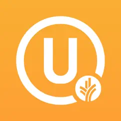 our daily bread university logo, reviews