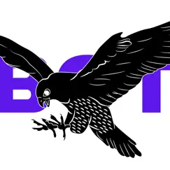 falcon - trading bot builder logo, reviews