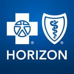 horizon blue logo, reviews