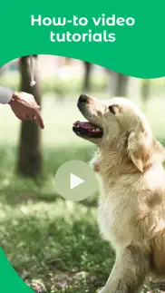 dogo - dog training & clicker iphone images 4