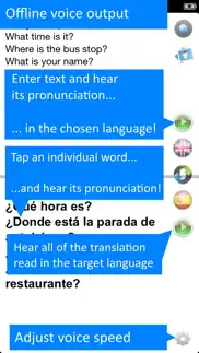 offline translator spanish pro iphone resimleri 3