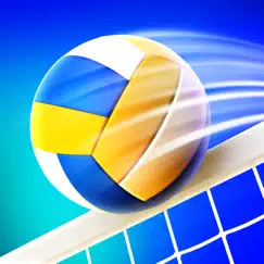 volleyball arena revisión, comentarios