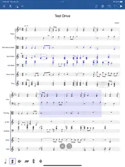 notation pad-sheet music score ipad images 2