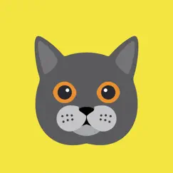 cat wisdom - cat lovers app inceleme, yorumları