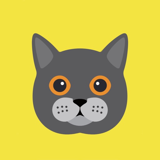 Cat Wisdom - Cat Lovers App app reviews download
