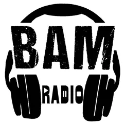 bamradio commentaires & critiques
