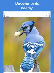 smart bird id ipad images 4