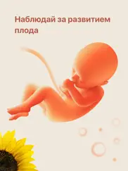 Календарь беременности + роды айпад изображения 2