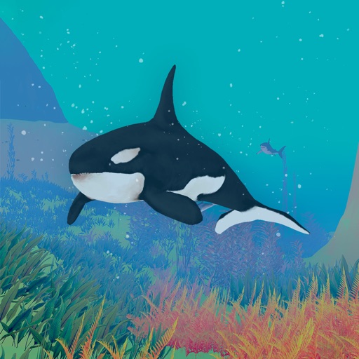 Animal World - 4D Kid Explorer app reviews download
