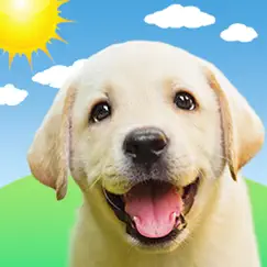 weather puppy forecast + radar logo, reviews