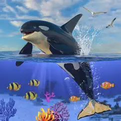 orca killer whale simulator commentaires & critiques