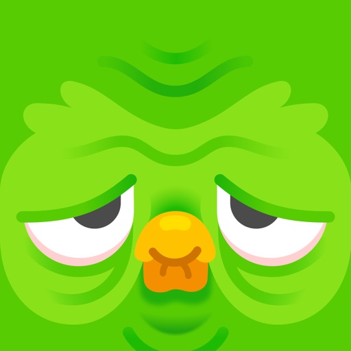Duolingo - Language Lessons app reviews download