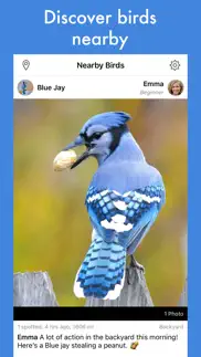 smart bird id iphone images 4