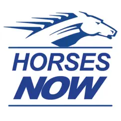 horses now logo, reviews