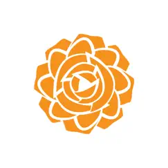 dutch rose logo, reviews