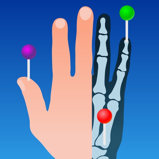 IMAIOS e-Anatomy app reviews download