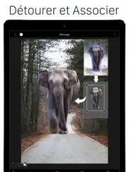 lightx montage photo et video iPad Captures Décran 1