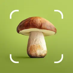 mushroom id - fungi identifier logo, reviews