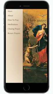 novena to mary iphone images 2
