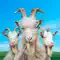 Goat Simulator 3 anmeldelser