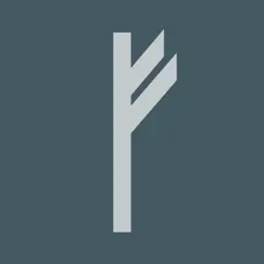 write in runic logo, reviews
