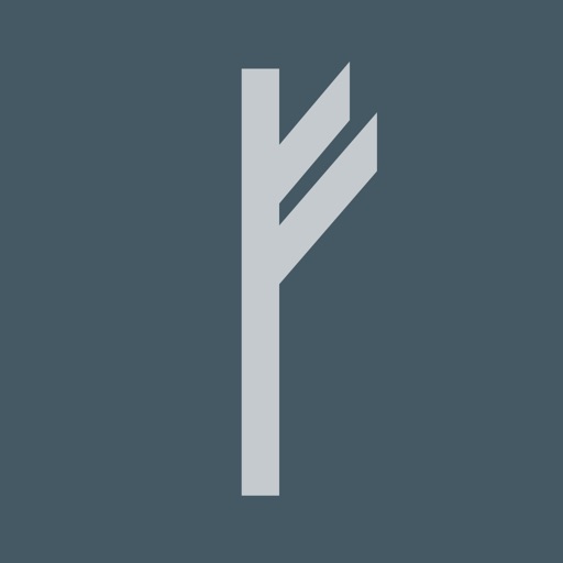 Write in Runic app reviews download