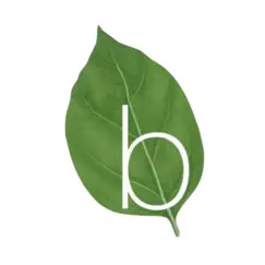 basilico logo, reviews