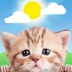 weather kitty: weather + radar logo, reviews