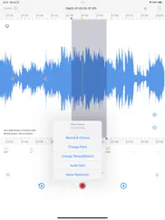 ezaudiocut - audio editor lite ipad capturas de pantalla 1