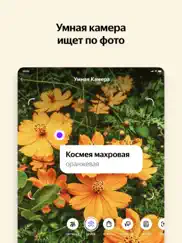 Яндекс — с Алисой ipad resimleri 3
