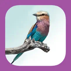 sasol ebirds of the kruger national park logo, reviews