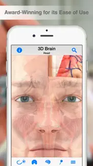pocket brain iphone images 1