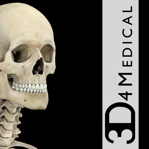 Skeletal System Pro III app reviews download
