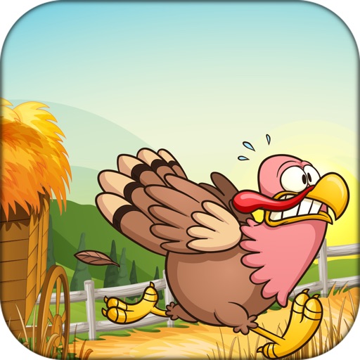 Run Chicken Run - Chicken Shooter Game app reviews download