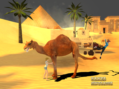 camel simulator ipad images 1
