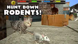 stray cat simulator iphone images 3