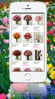 buy flowers iphone capturas de pantalla 2