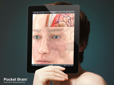 pocket brain ipad images 1