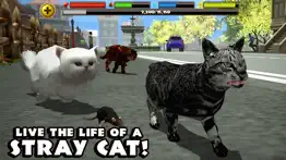 stray cat simulator iphone images 1