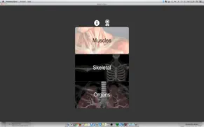 anatomy quiz+ айфон картинки 1