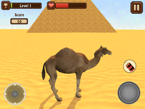 camel simulator ipad images 2