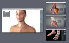 essential anatomy 5 iphone capturas de pantalla 3