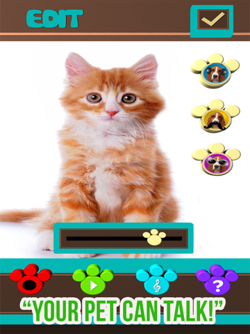 +my pet can talk videos - free virtual talking animal game ipad images 1