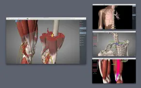 essential anatomy 5 iphone capturas de pantalla 2