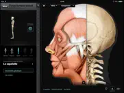 corps humain virtuel iPad Captures Décran 3
