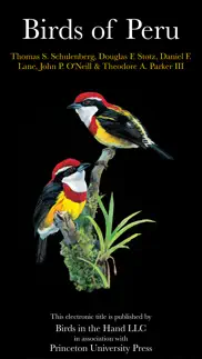 birds of peru iphone images 1