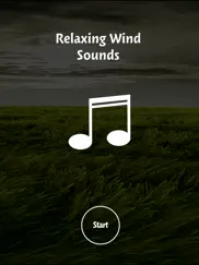 wind sounds:calming sounds of nature for relaxation and forest ambience for stress relief ipad images 1