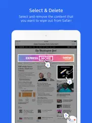 web cleaner - select and delete ads on browser ipad images 1