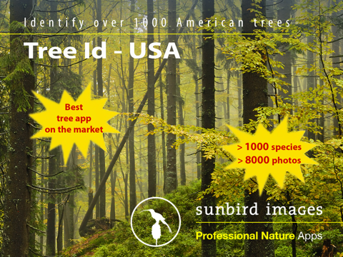 tree id usa - identify over 1000 of america's native species of trees, shrubs and bushes ipad images 1