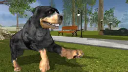 rottweiler dog life simulator iphone images 1